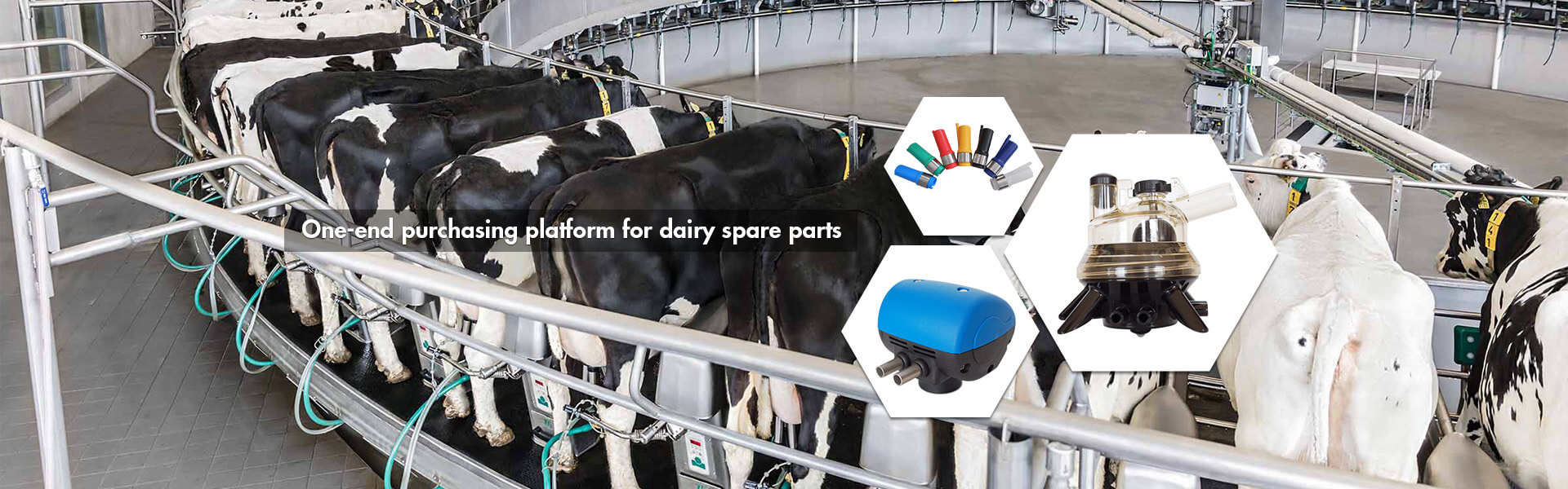 Milking Equipment