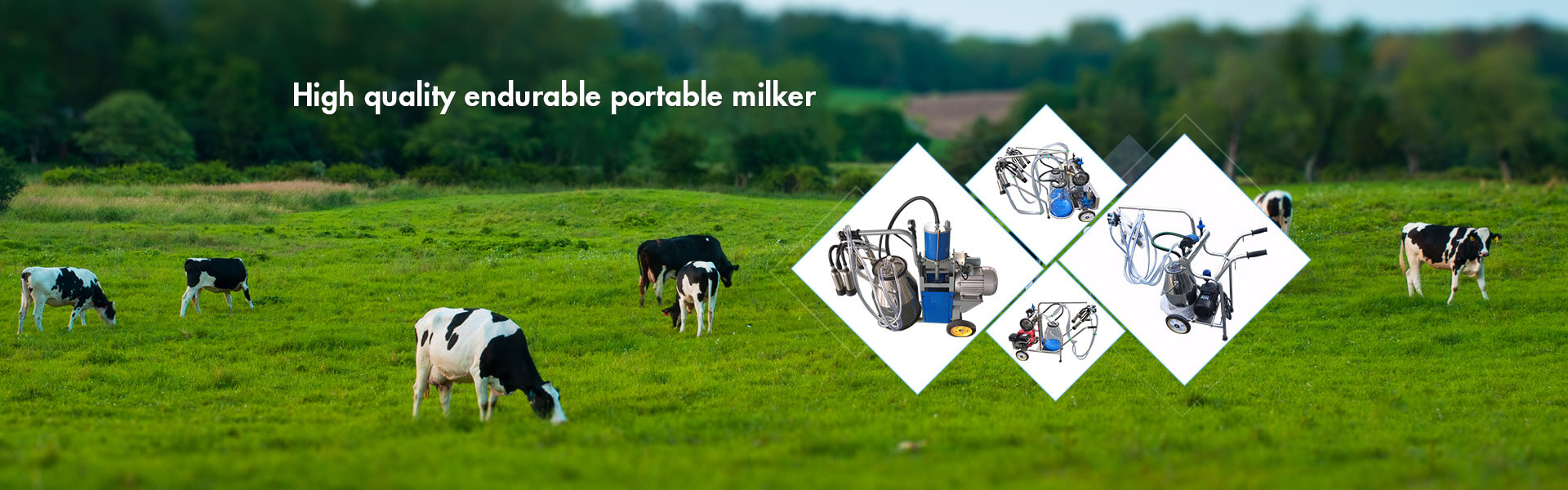 Milking Machine Spare Parts