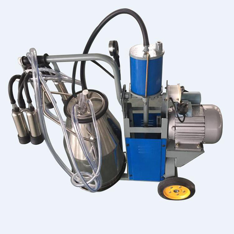 Piston type single bucket milking machine