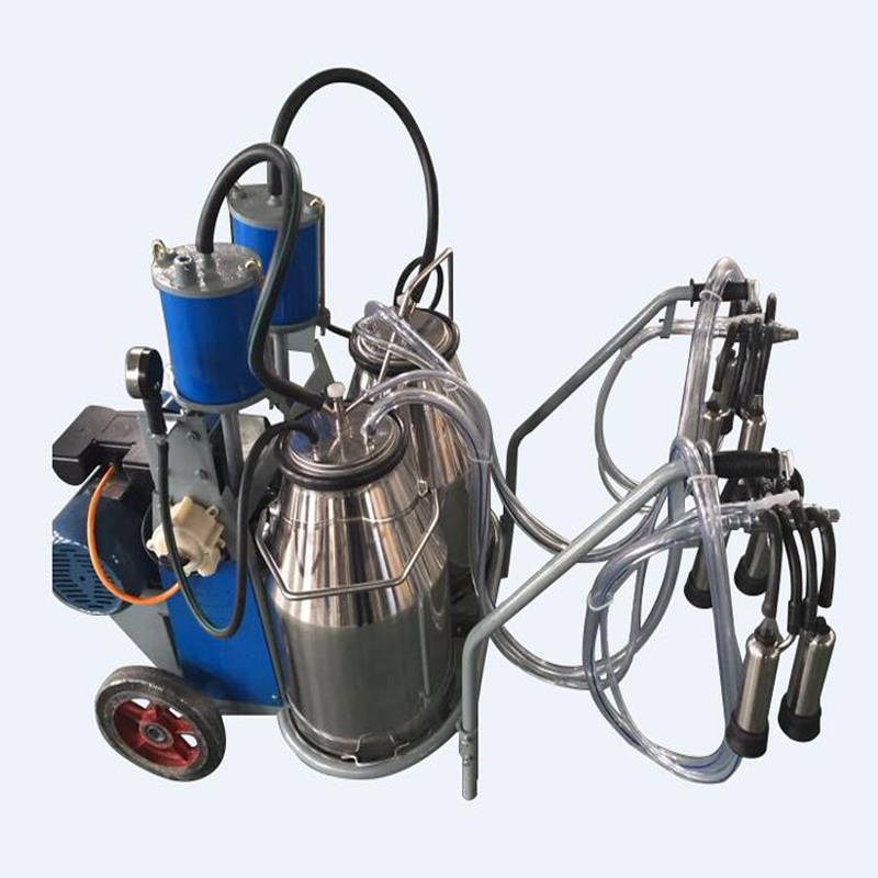 Piston type double bucket milking machine