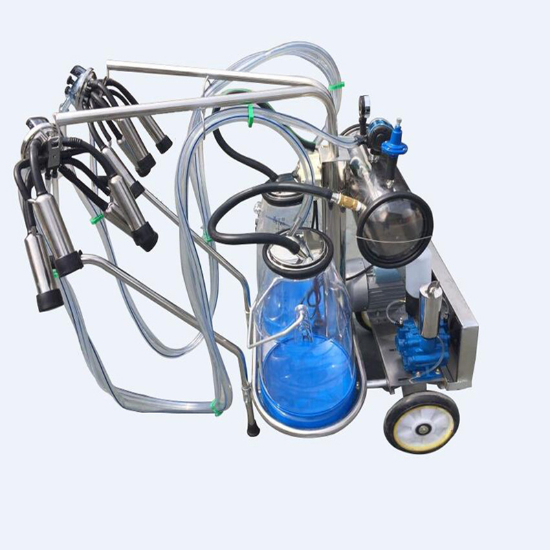 Vacuum pump double bucket milking machine