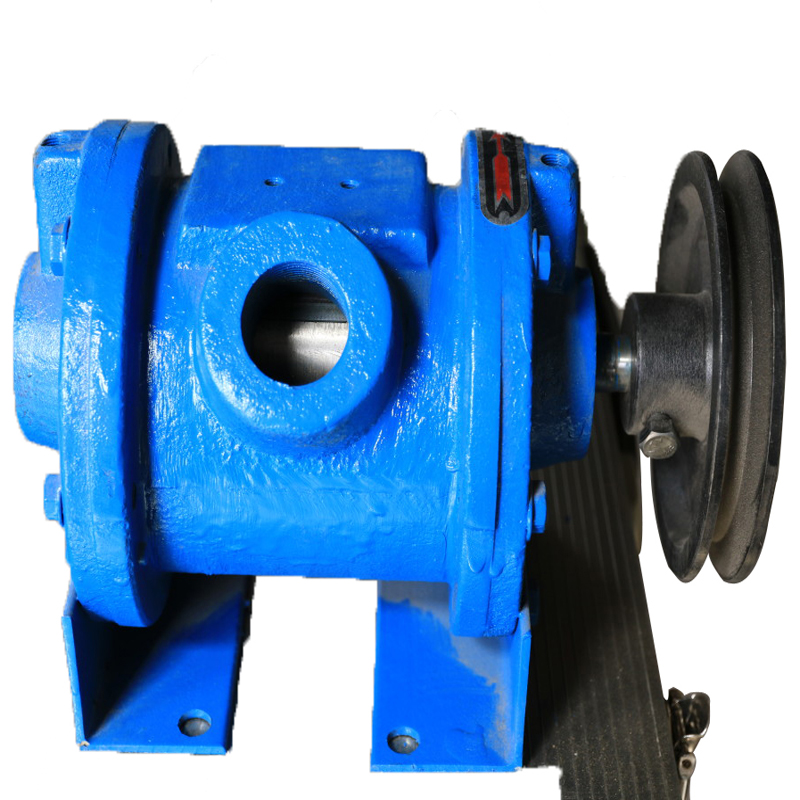 500L type roughing vacuum pump