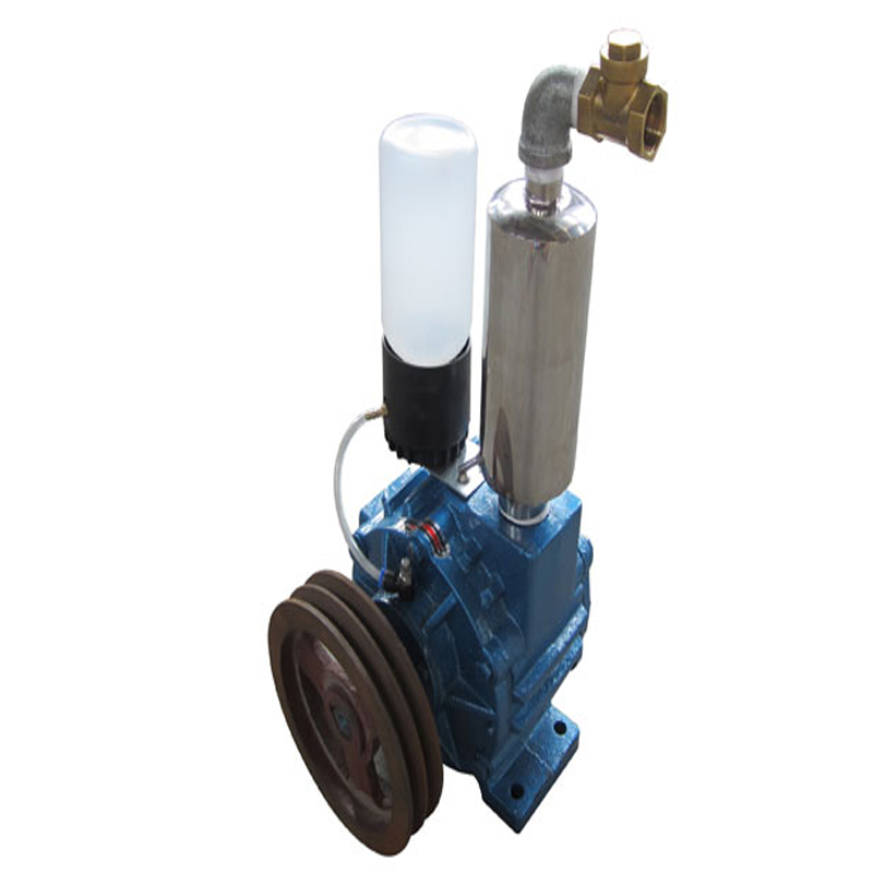 500L type roughing vacuum pump