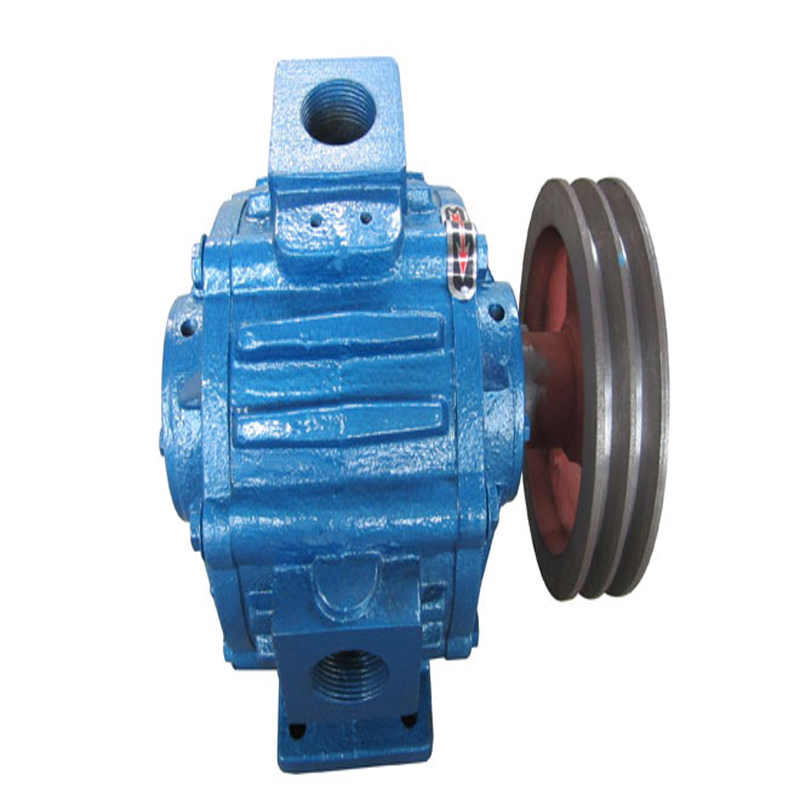 800L type roughing vacuum pump