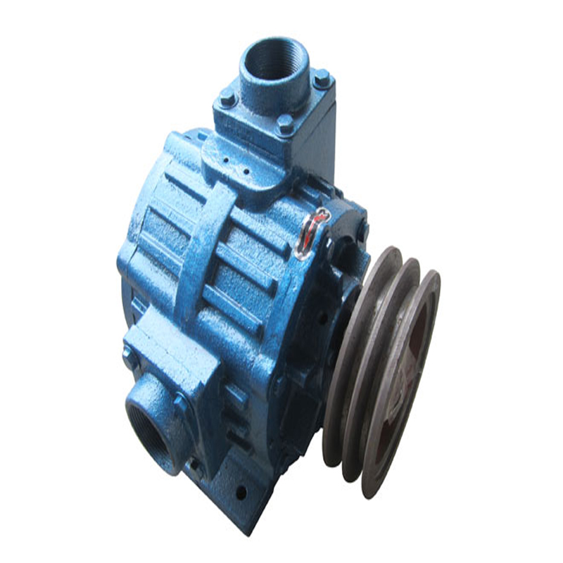 1500L roughing vacuum pump