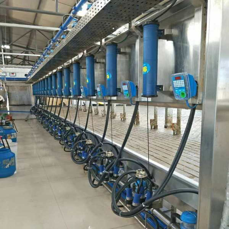 Parallel type milking parlor
