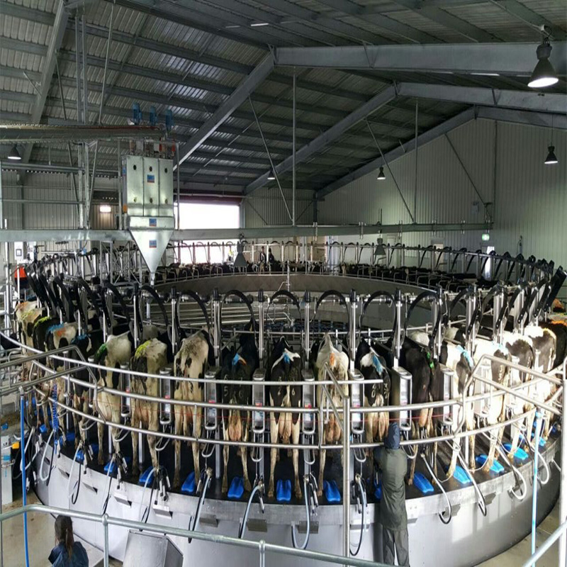 Rotary type milking parlor