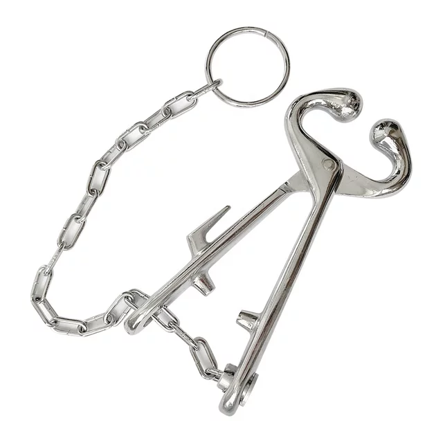 China supplier hot selling veterinary stainless steel bull holder without chain for animals