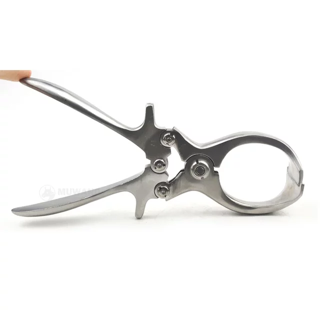 Stainless Steel 304 Pig Bloodless Burdizzo Clamps Castrating Forceps